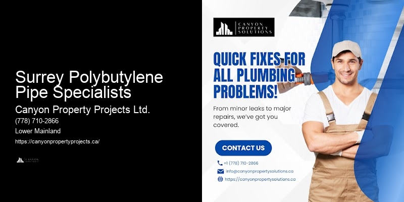 Polybutylene Pipe Replacement Quotes Surrey Polybutylene Pipe Specialists