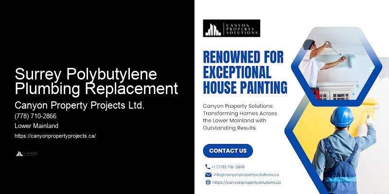Polybutylene Pipe Connection Repair Surrey Polybutylene Plumbing Replacement
