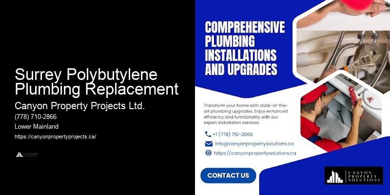 Polybutylene Pipe Replacement Company Surrey Polybutylene Plumbing Replacement