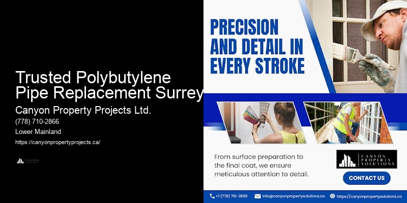 Polybutylene Plumbing Costs Trusted Polybutylene Pipe Replacement Surrey
