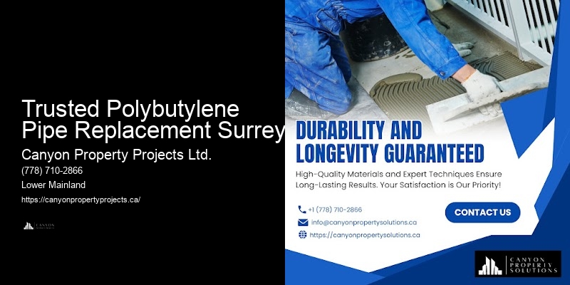 Comprehensive Polybutylene Pipe Inspection and Replacement Services in Trusted Polybutylene Pipe Replacement Surrey