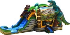 Inflatable Water Slide in Dallas