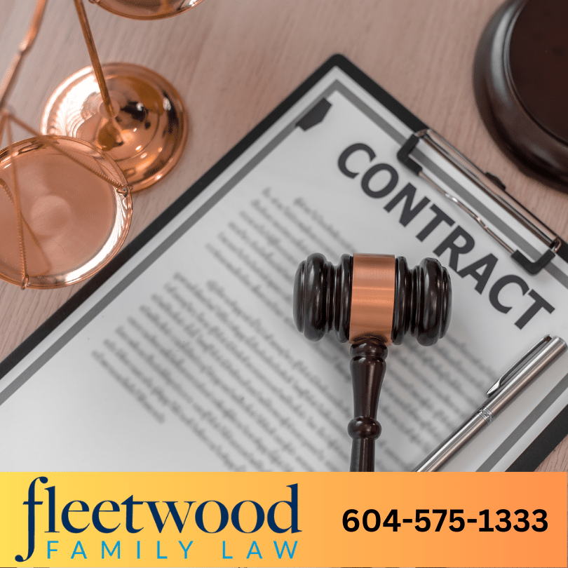 Child custody lawyer in Surrey