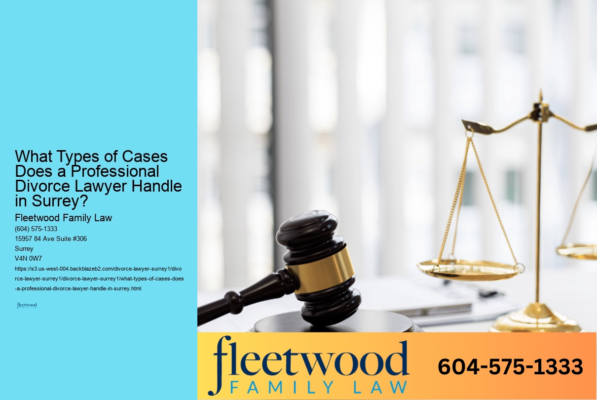 What Types of Cases Does a Professional Divorce Lawyer Handle in Surrey?