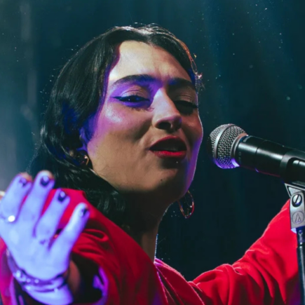 catalina bordonas caupolicán