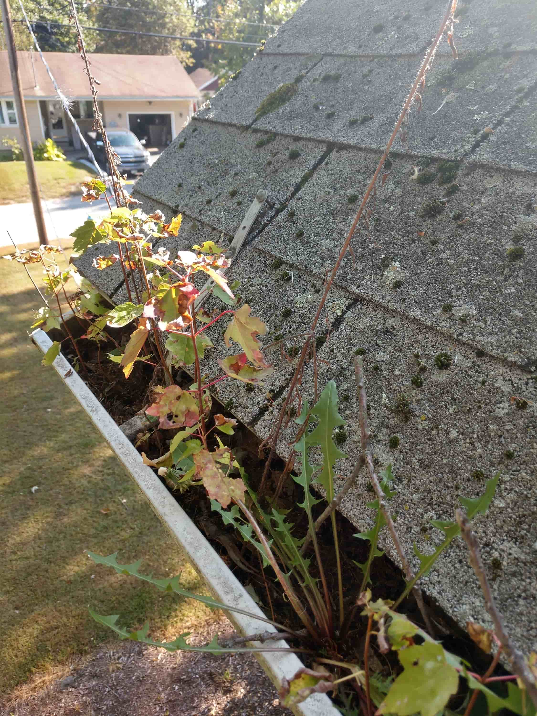 how to clean exterior gutters