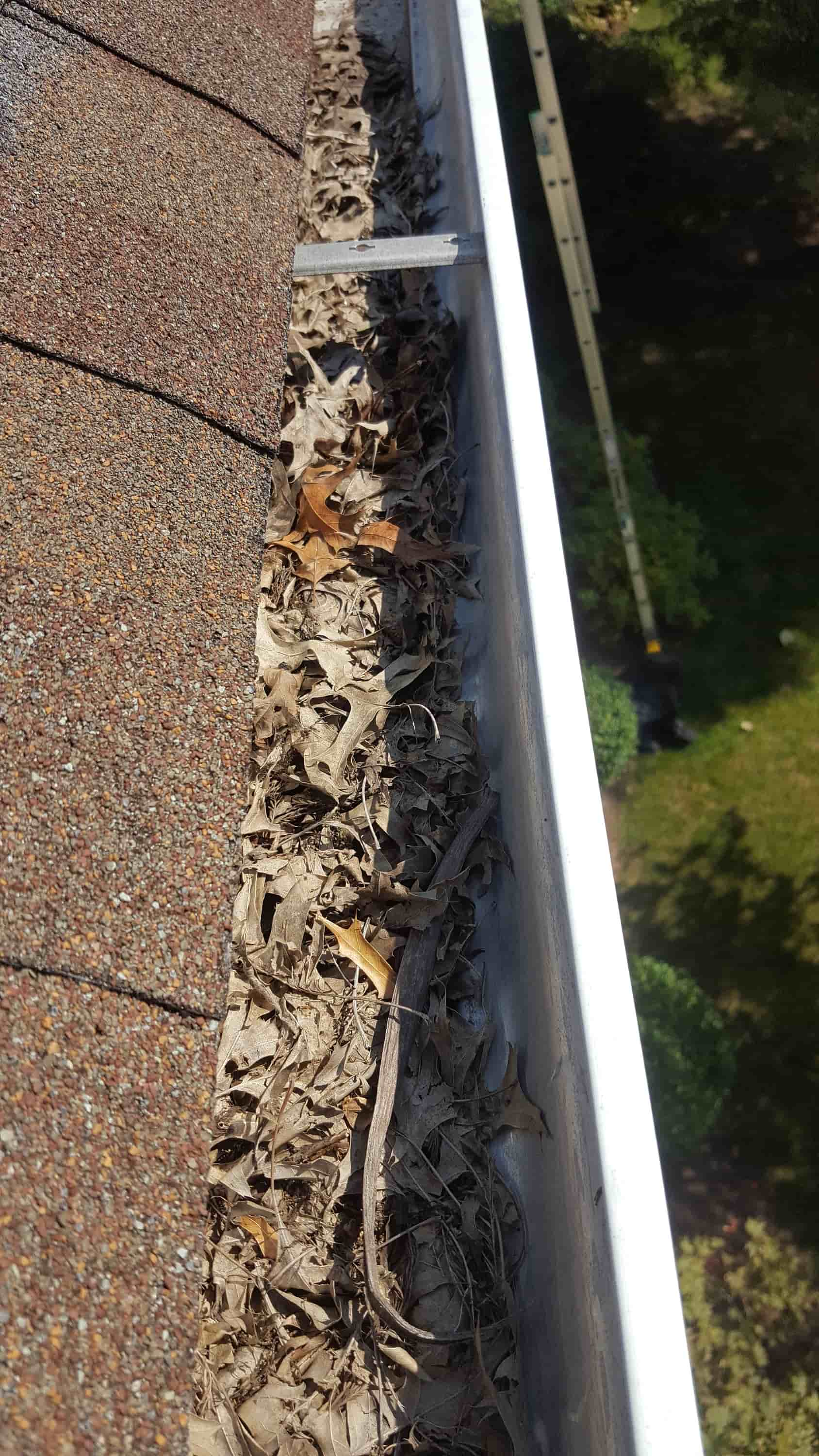 best way to clean gutters