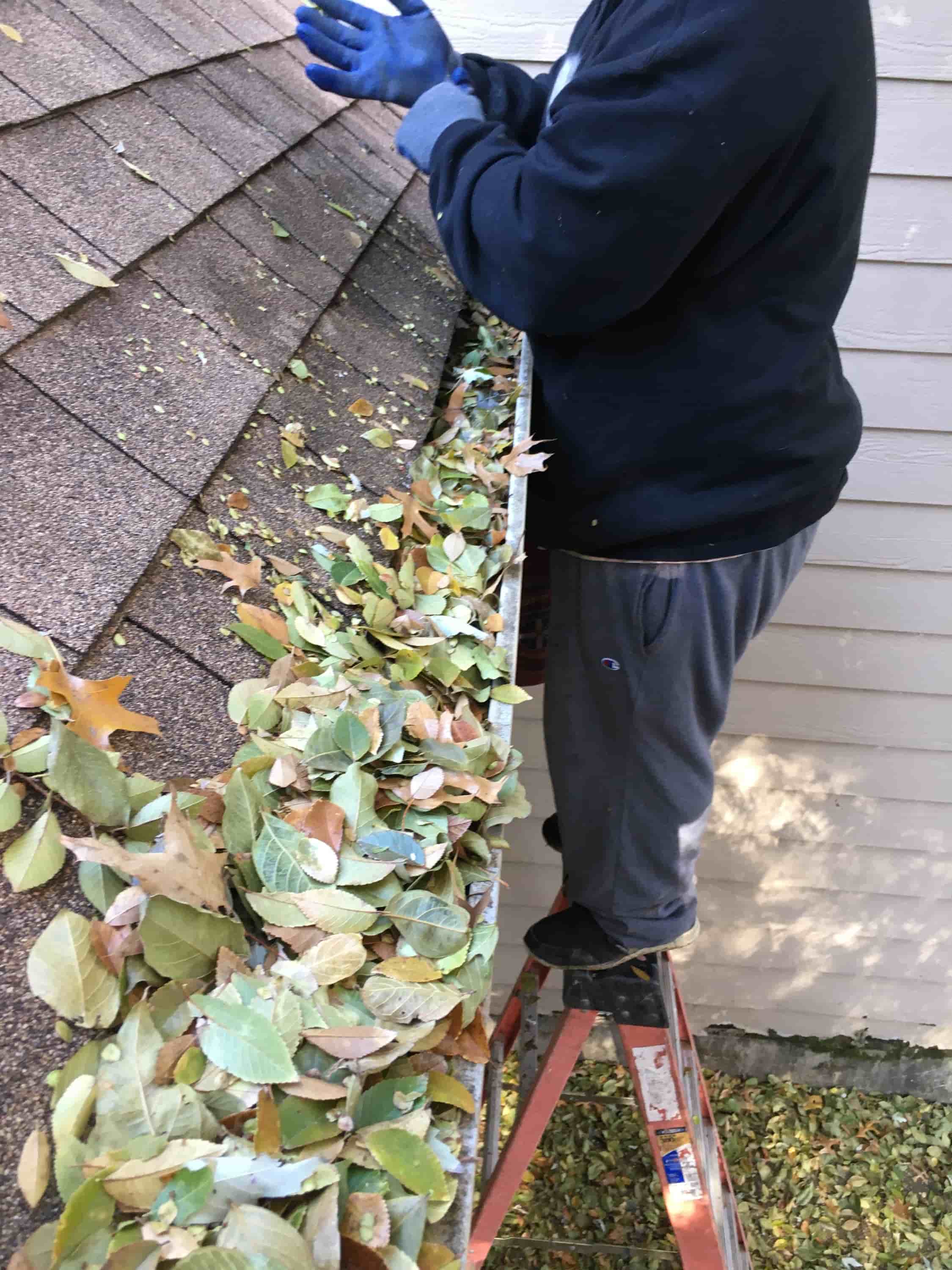 getting gutters cleaned