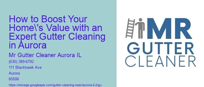 How to Boost Your Home's Value with an Expert Gutter Cleaning in Aurora