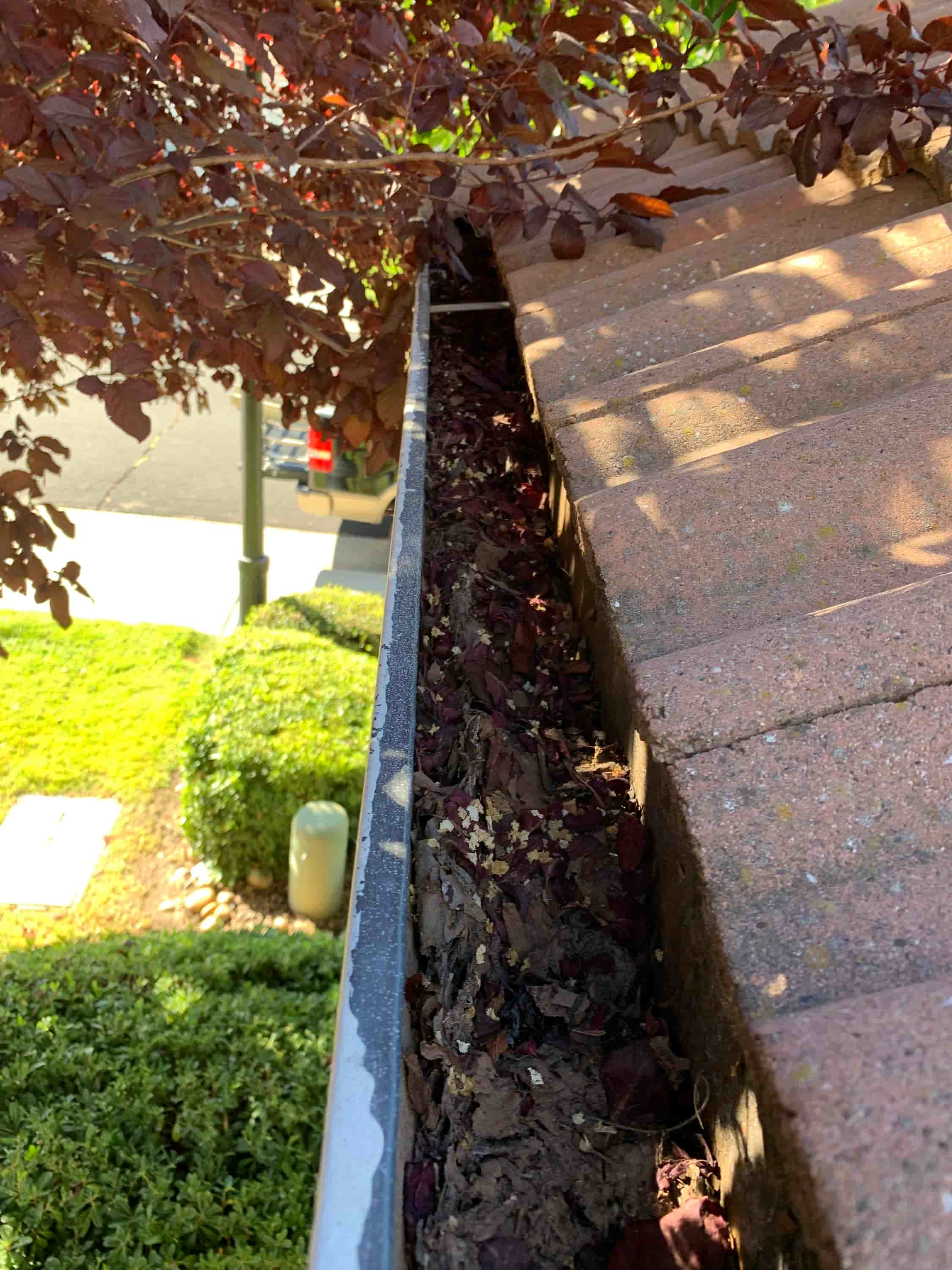 professional gutters