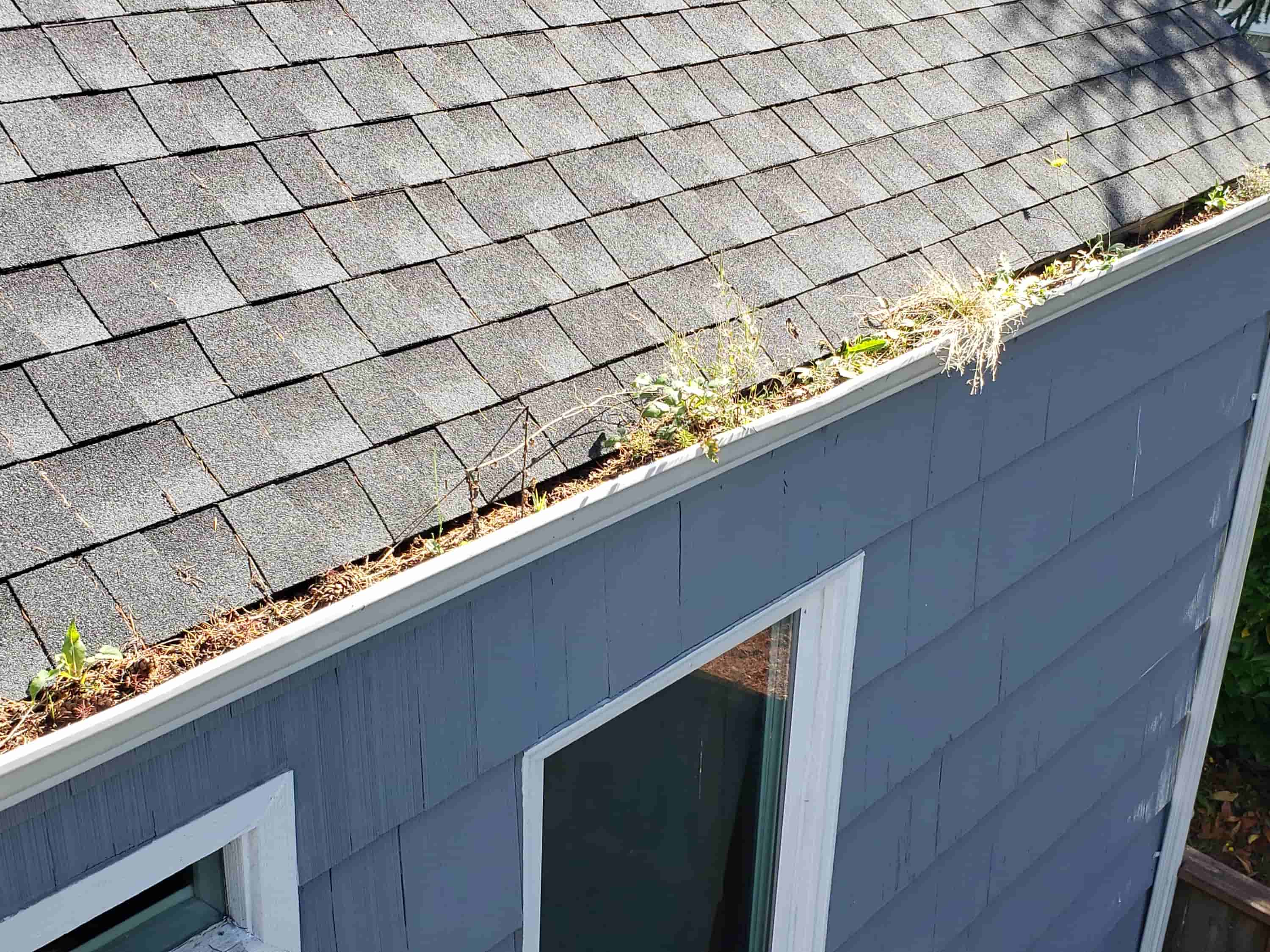 cleaning house gutters