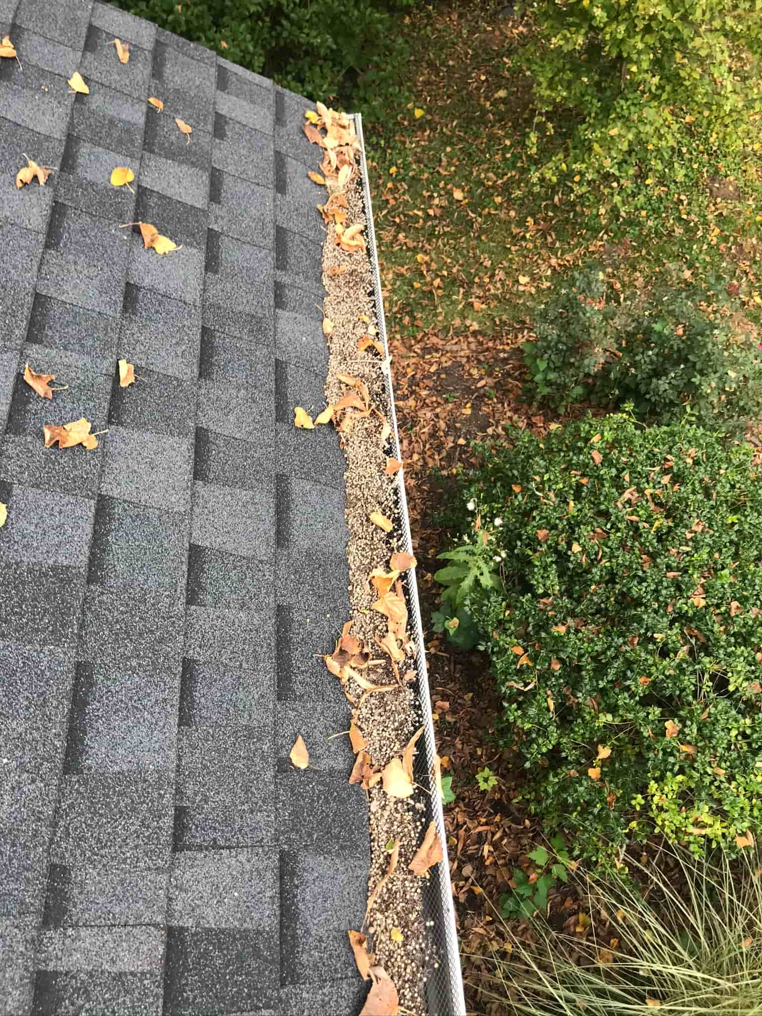 roof repair and gutter cleaning