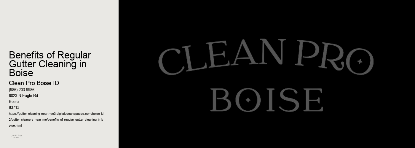 Benefits of Regular Gutter Cleaning in Boise 