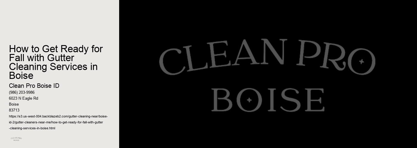 How to Get Ready for Fall with Gutter Cleaning Services in Boise 