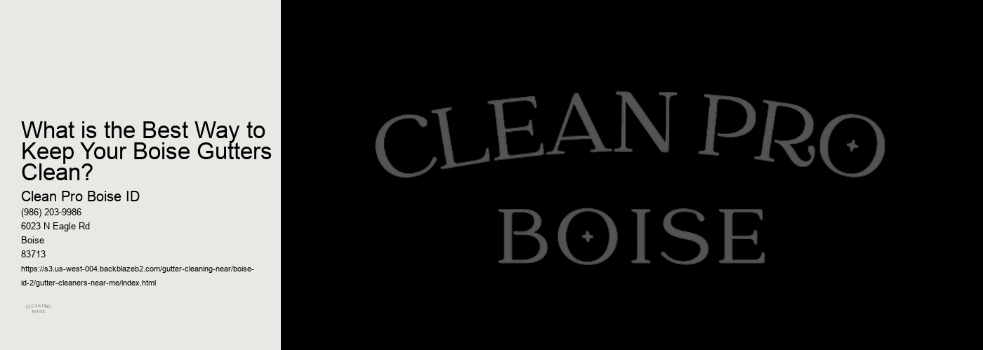 What is the Best Way to Keep Your Boise Gutters Clean? 