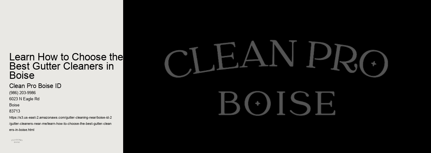 Learn How to Choose the Best Gutter Cleaners in Boise 