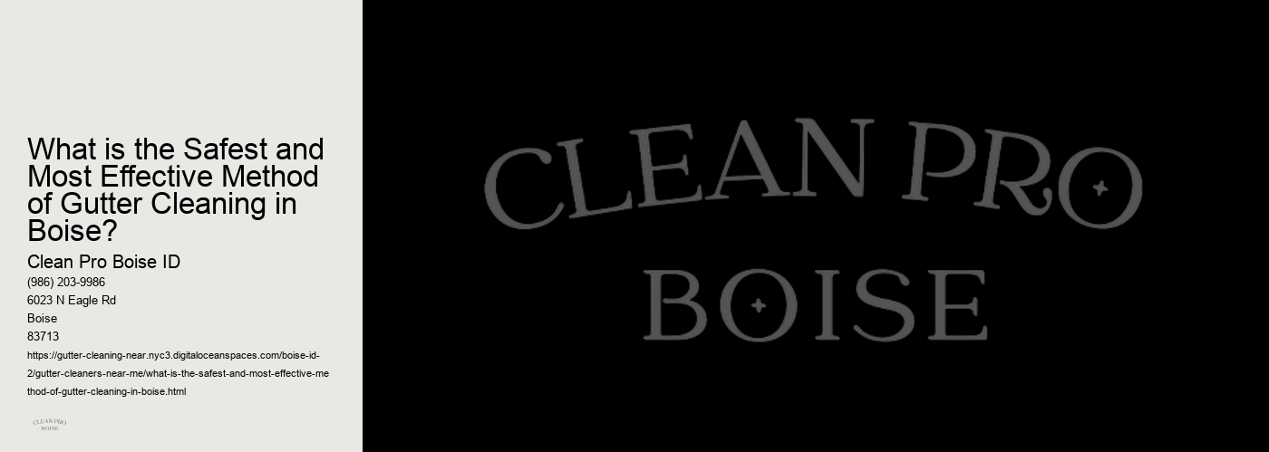 What is the Safest and Most Effective Method of Gutter Cleaning in Boise? 
