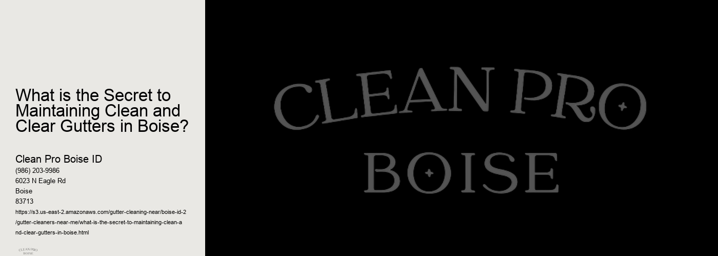 What is the Secret to Maintaining Clean and Clear Gutters in Boise? 
