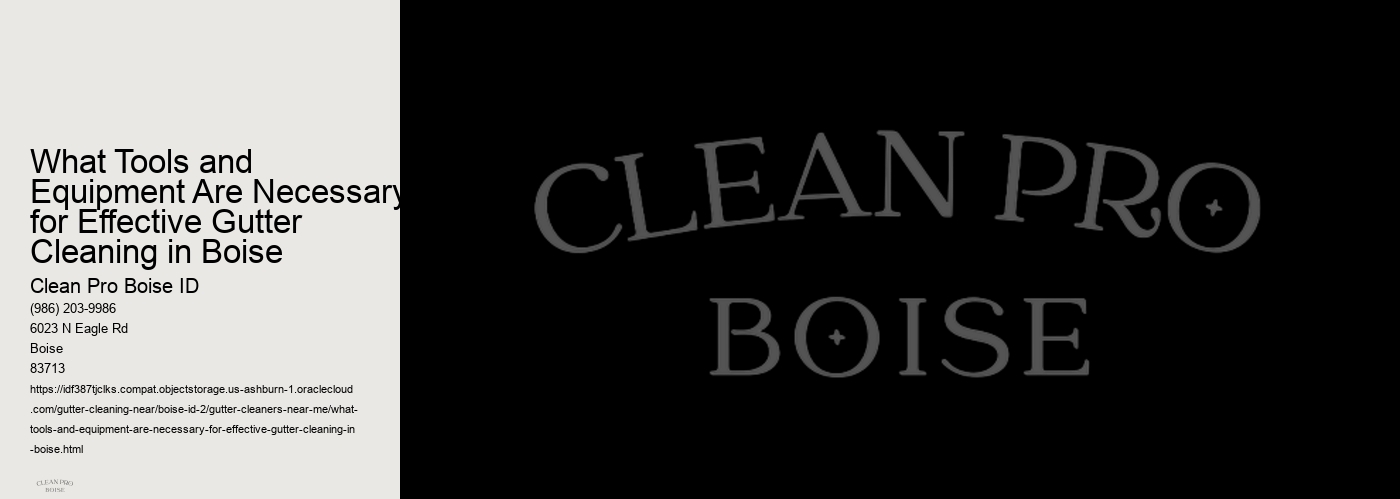 What Tools and Equipment Are Necessary for Effective Gutter Cleaning in Boise 