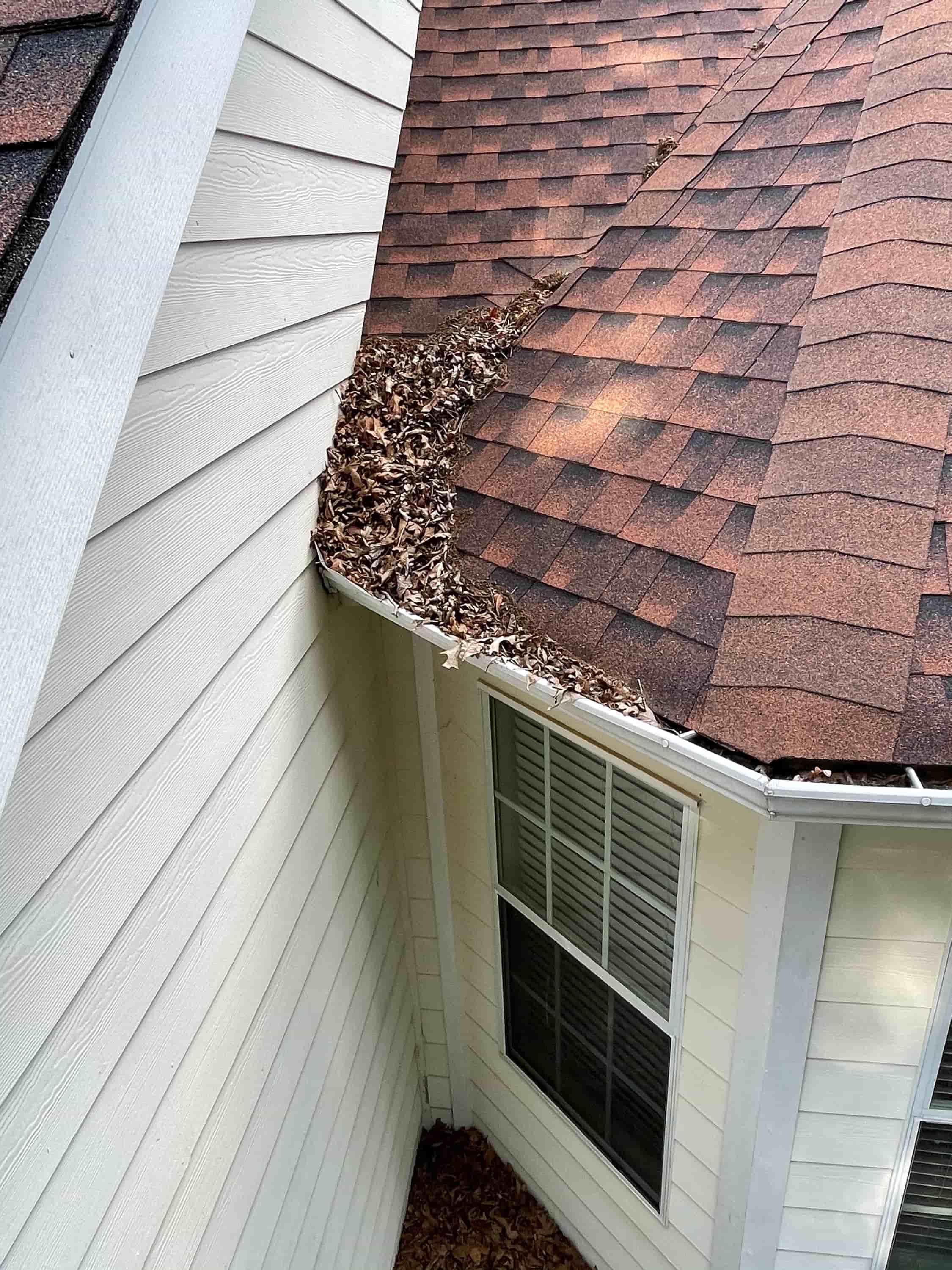 clean out gutters