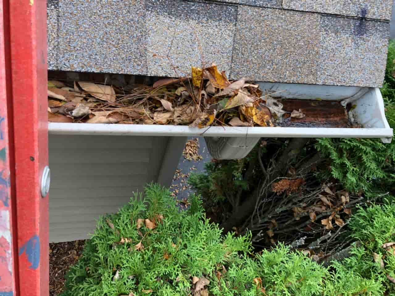 gutter cleaning in