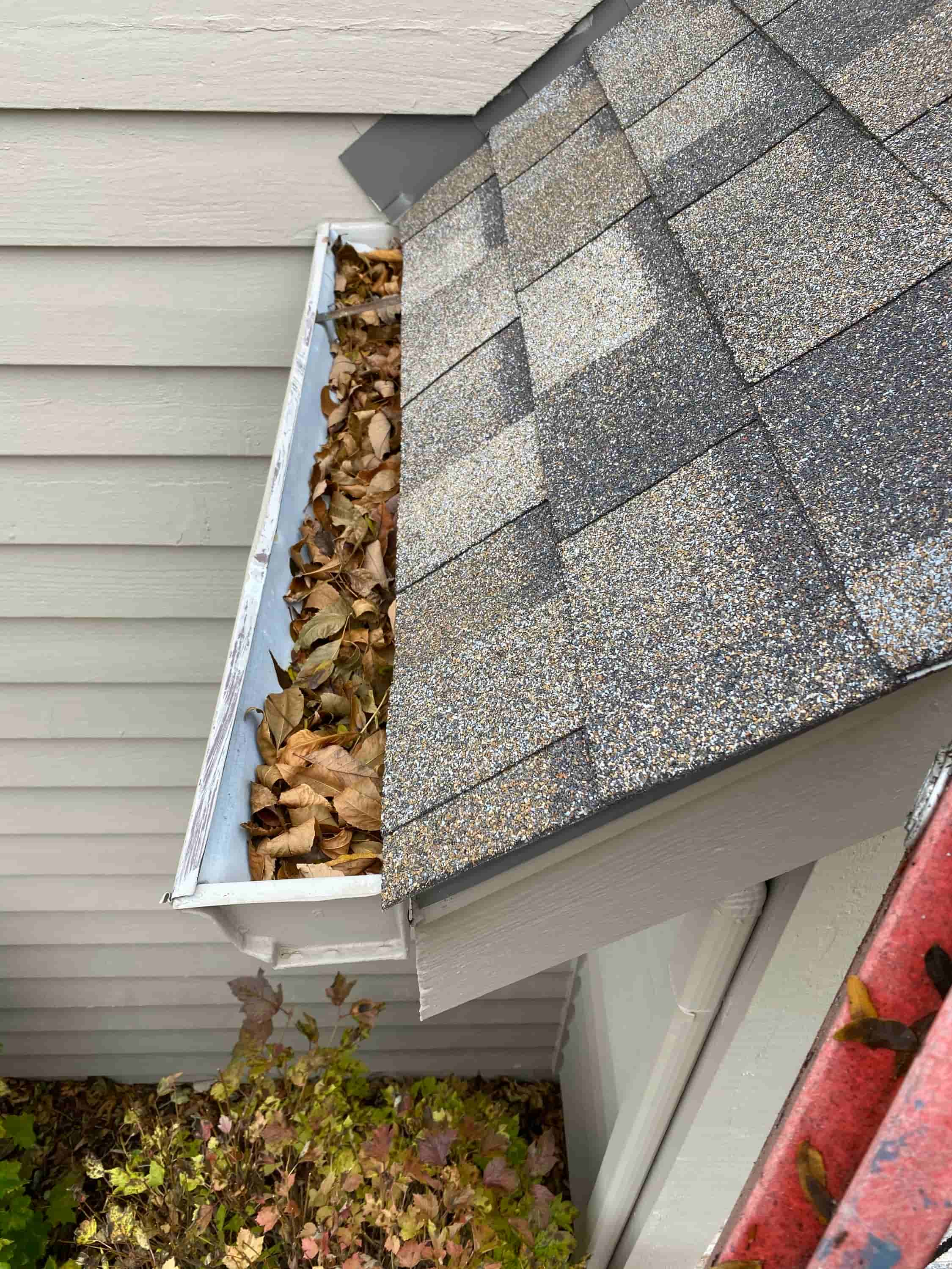 clean leaves off roof