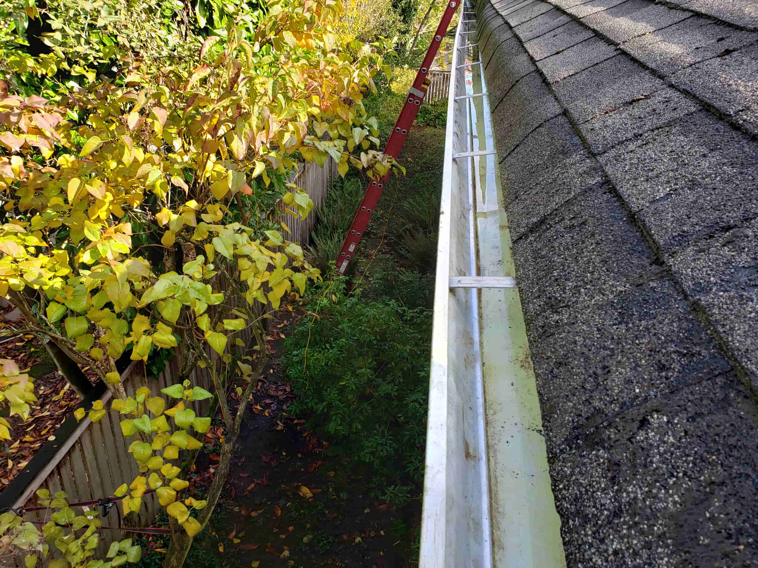 gutter cleaning safety