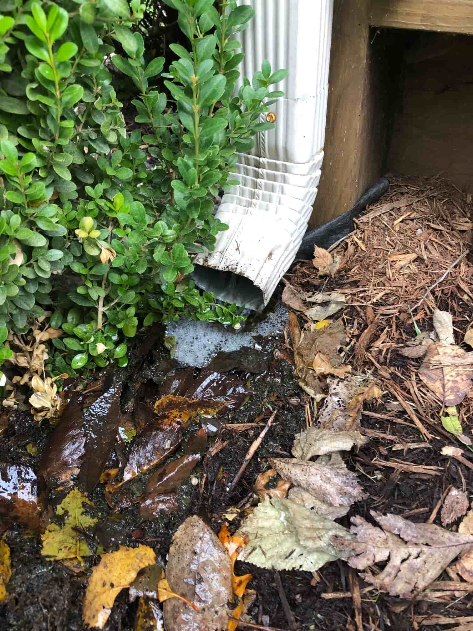 gutter pipe repair