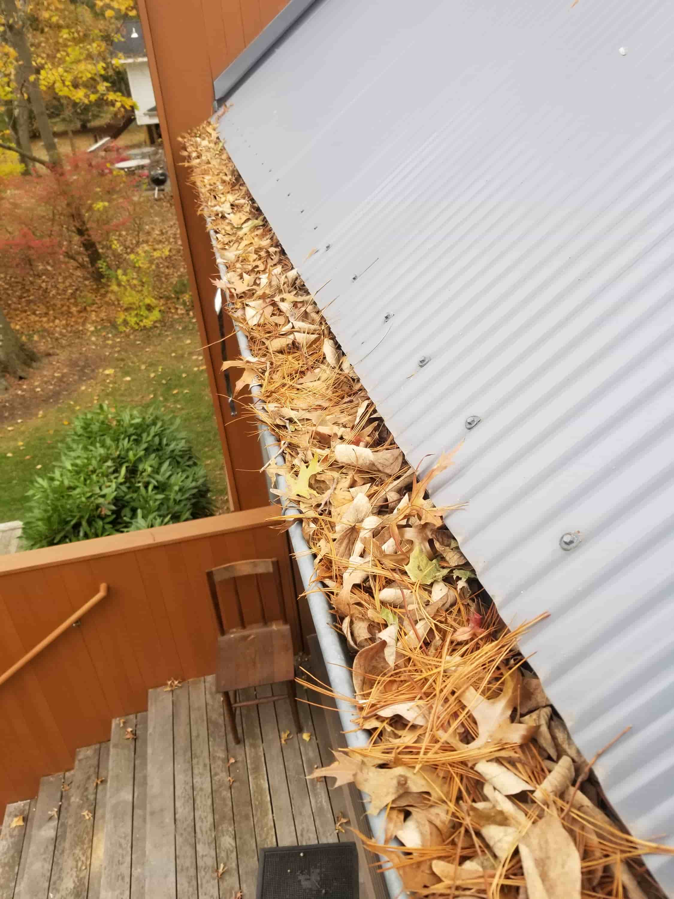 gutter soffit and fascia cleaning