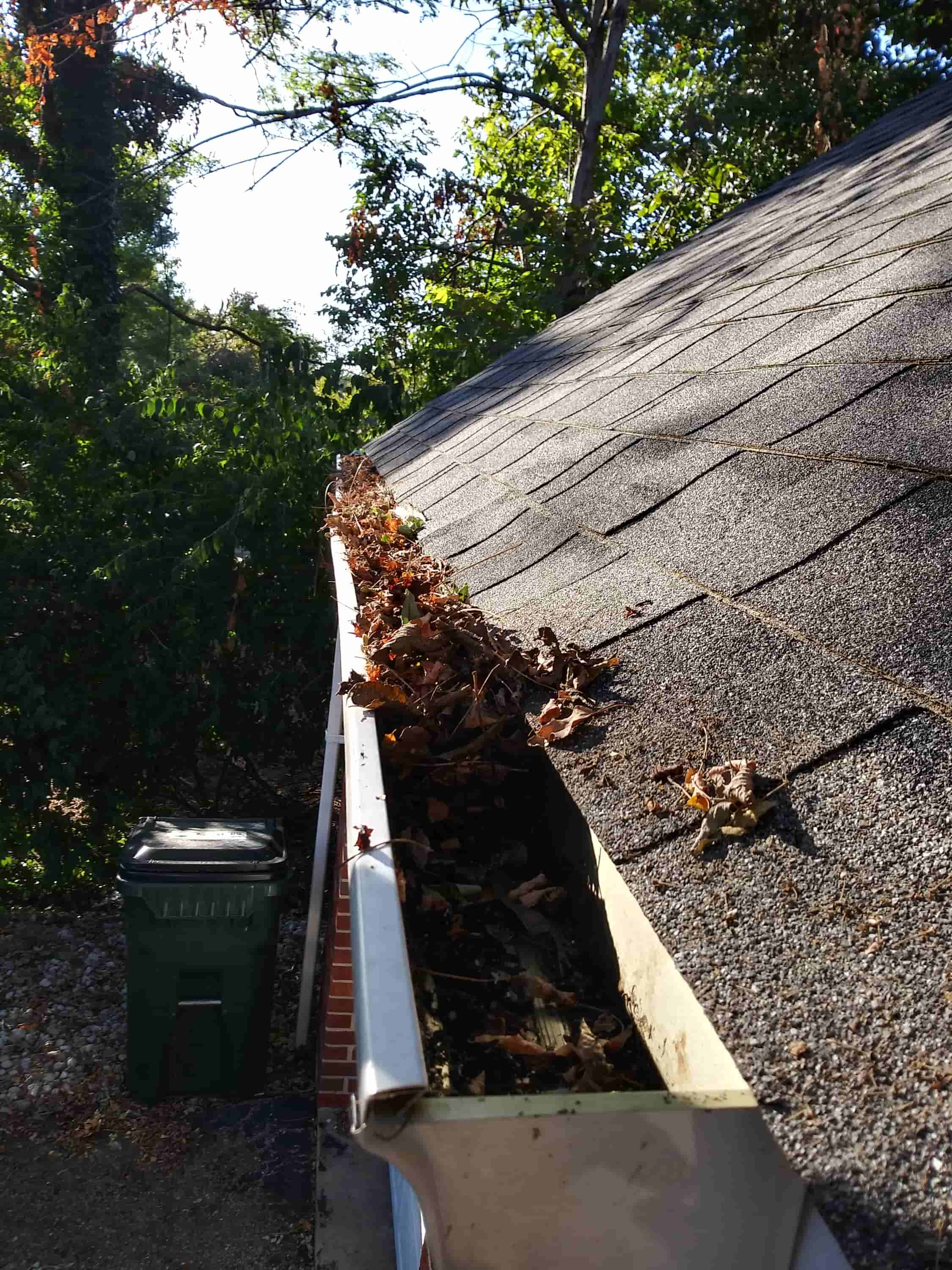 gutter cleaning and roofing services