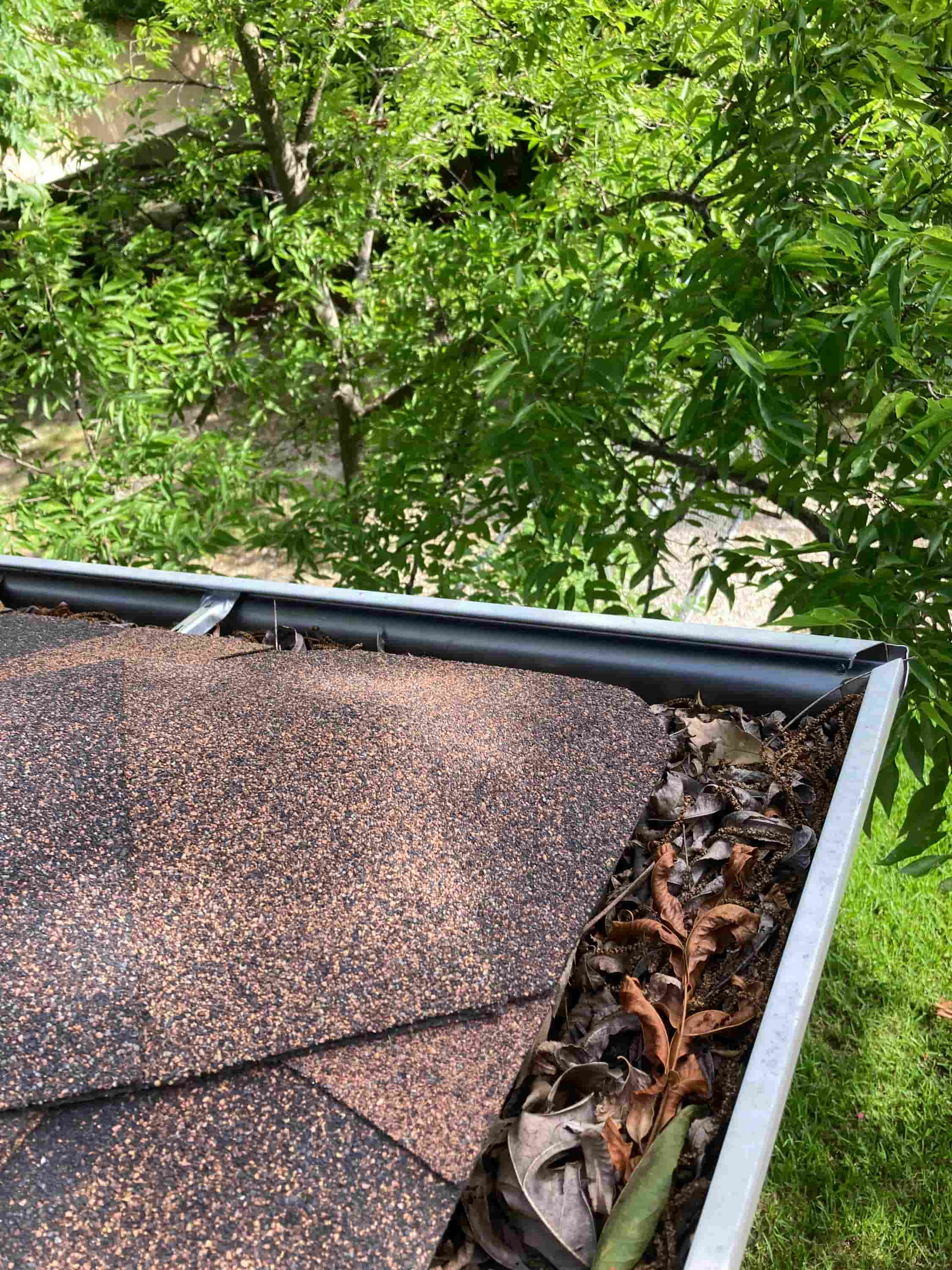 gutter cleaning near me