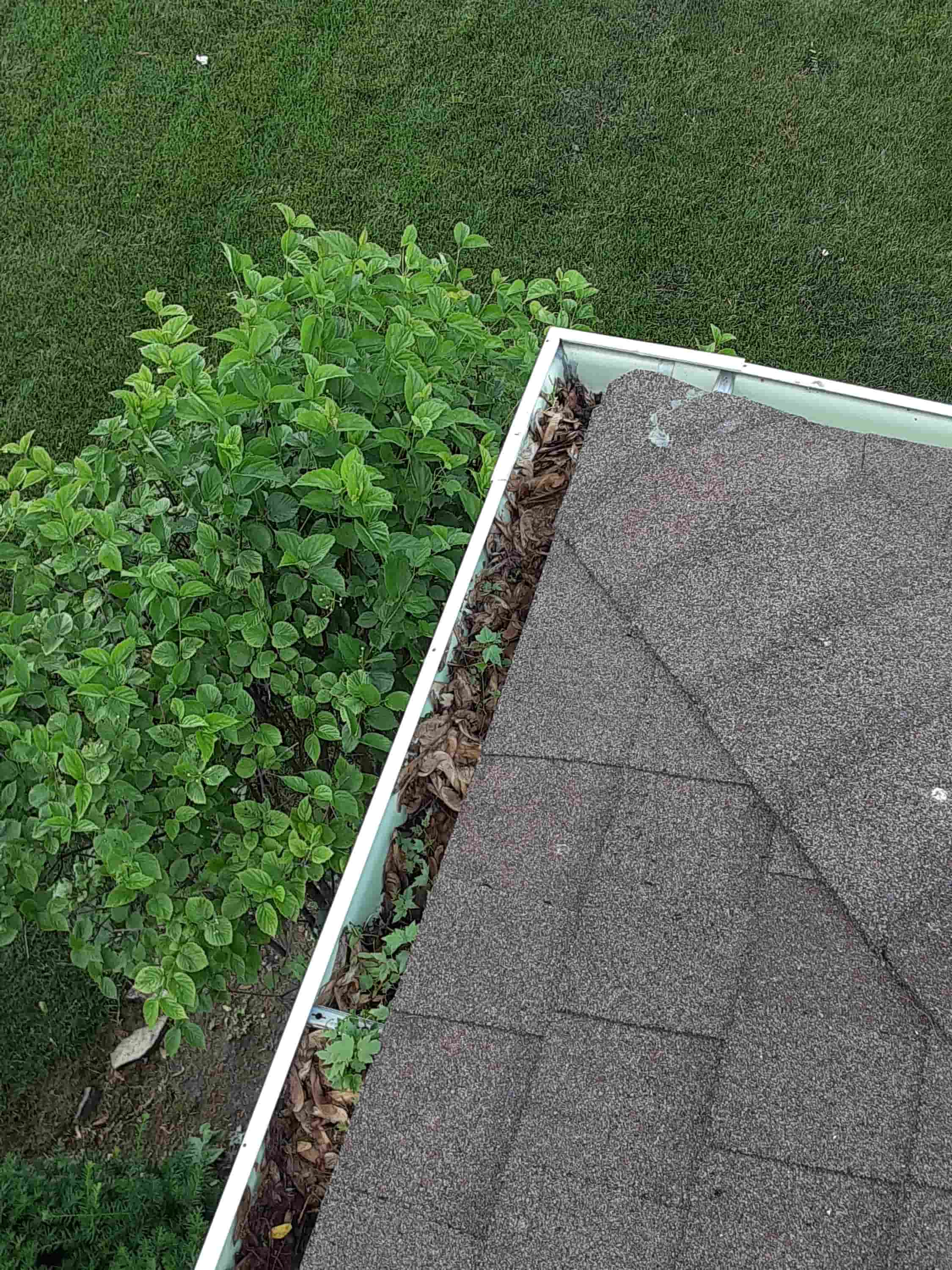 how to clean gutter