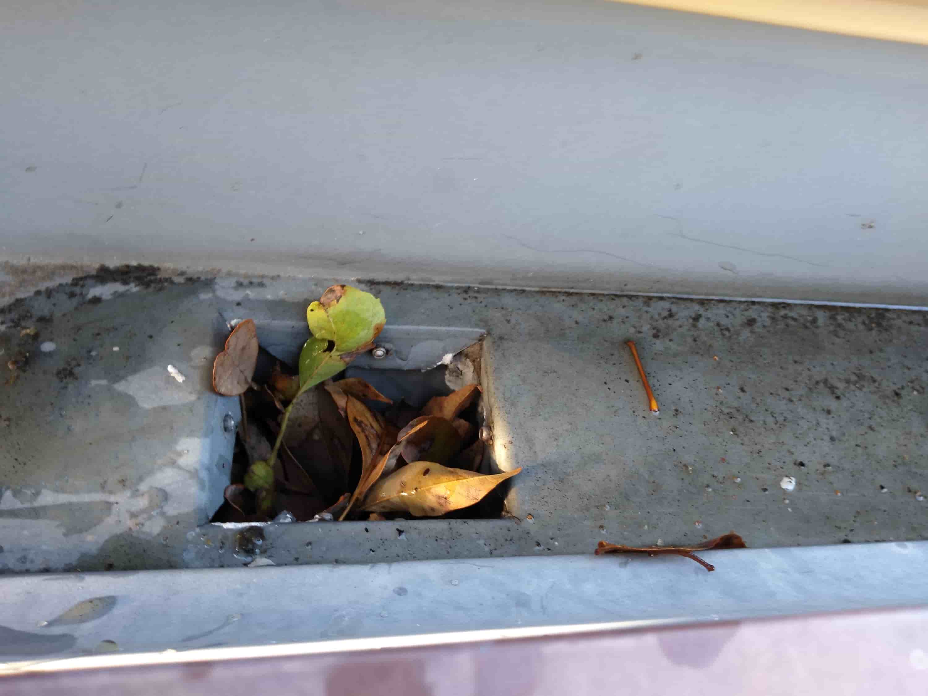 how to clean leaf guard gutters