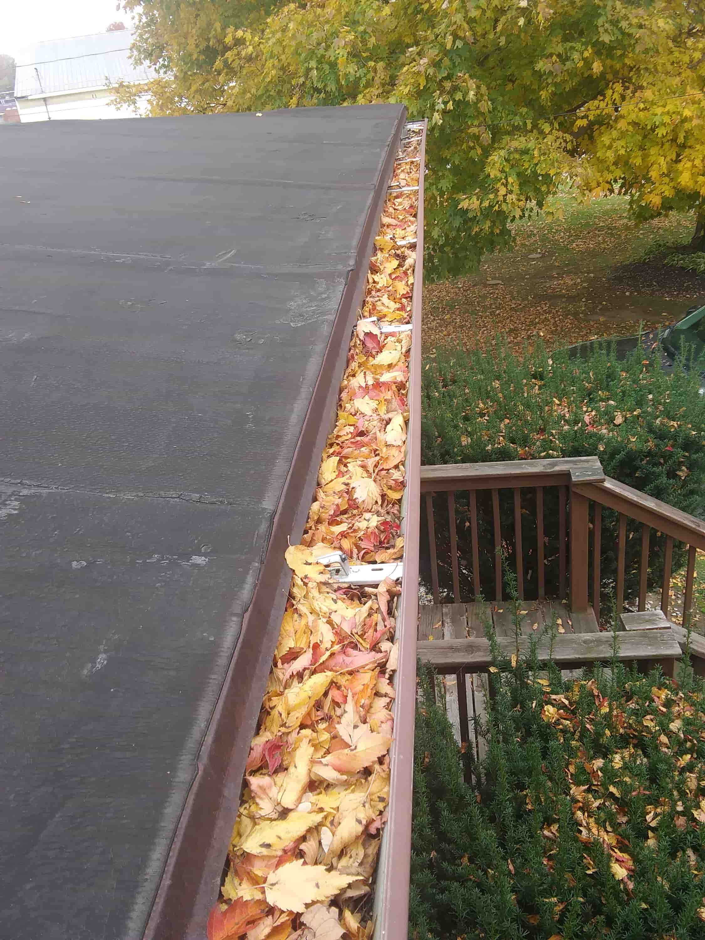 how much cleaning gutters cost