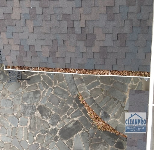 cleaning gutters company