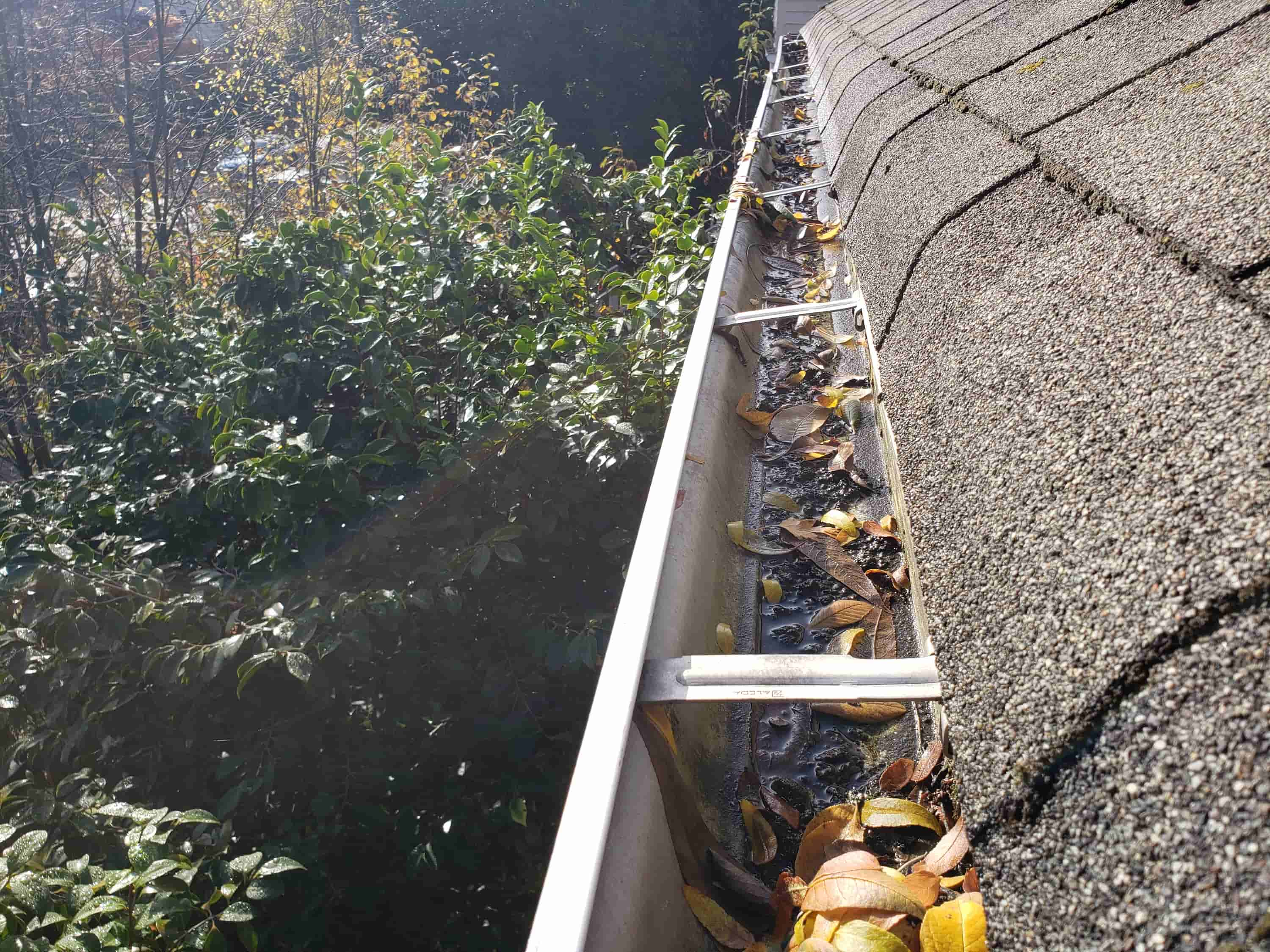 best way to clean your gutters