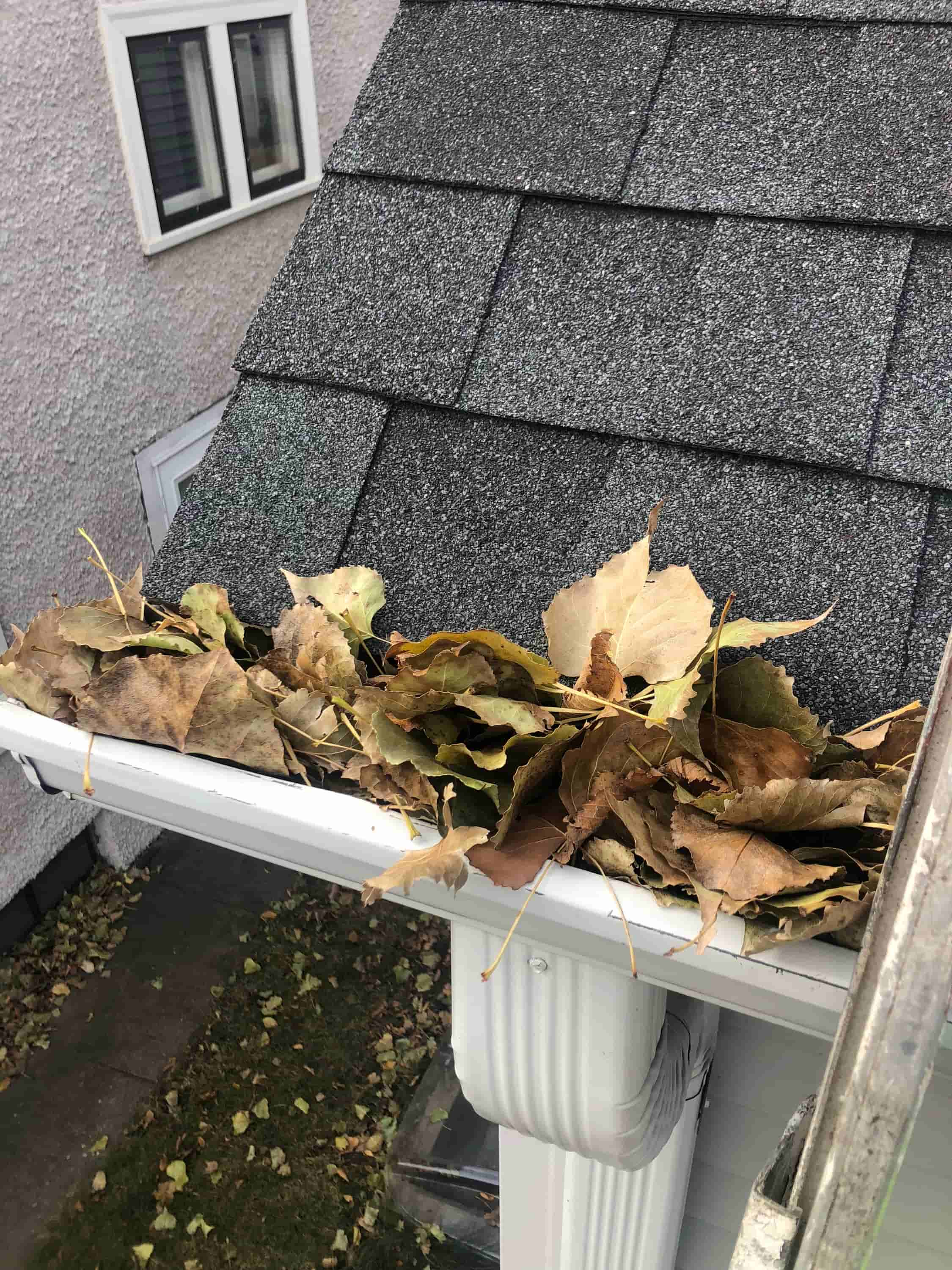 how much to clean gutter