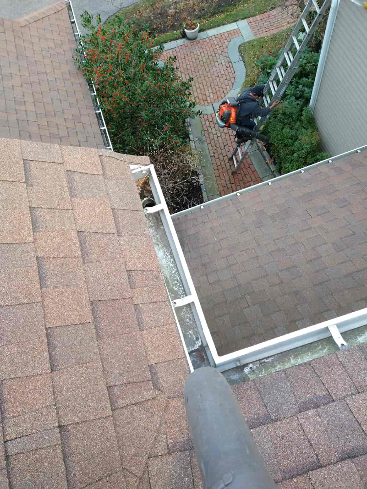 local gutter cleaning