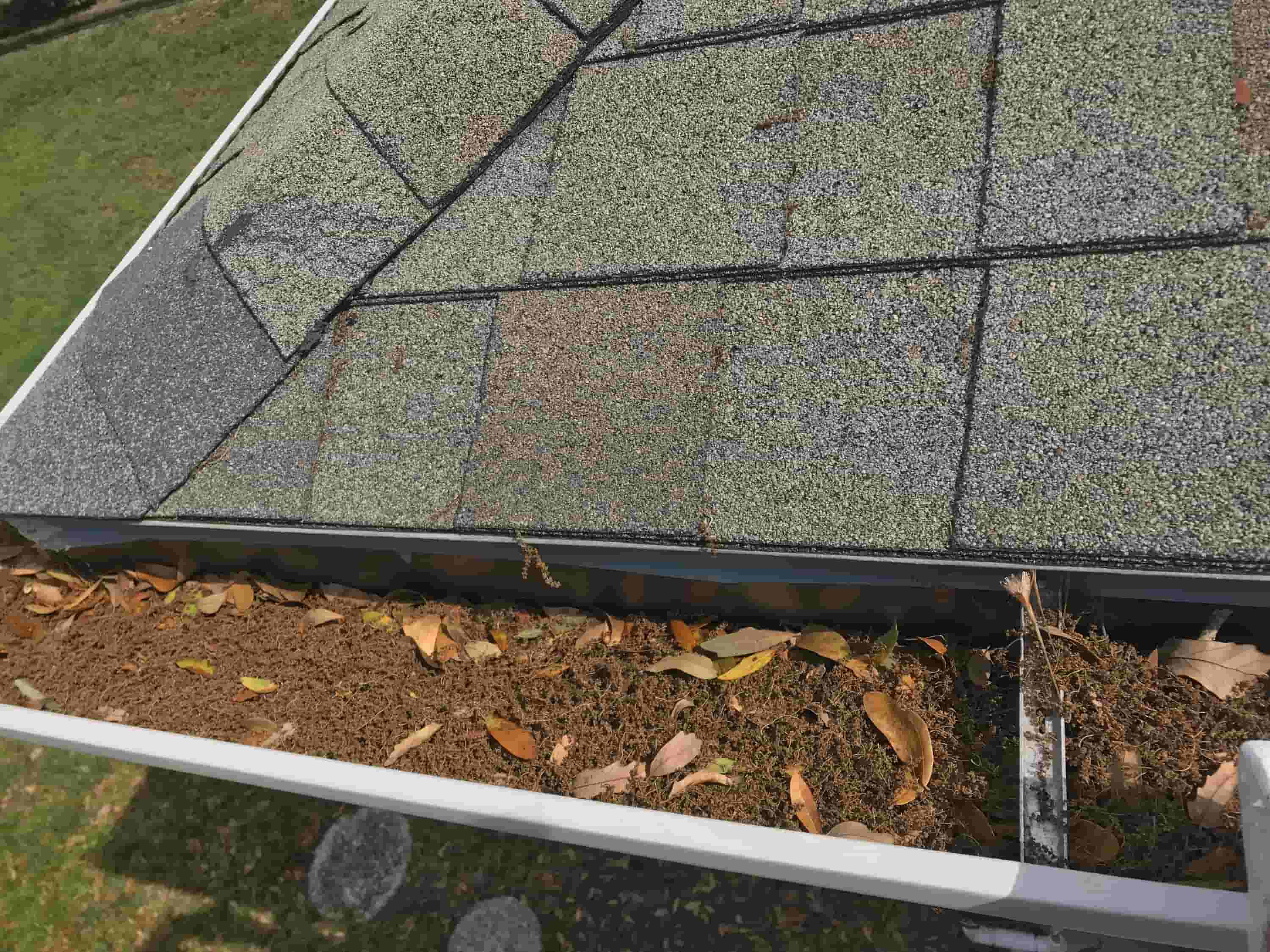 how to clean gutters with screens