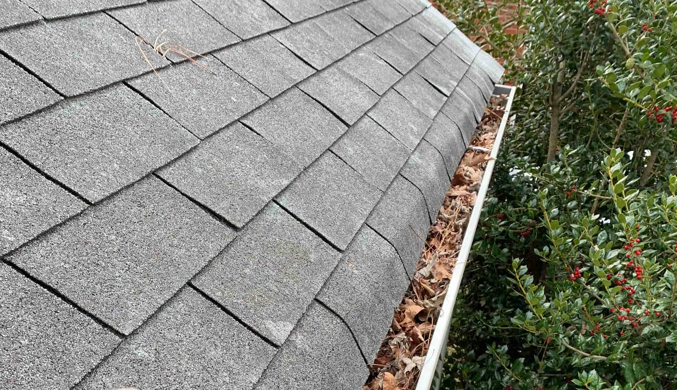 how much does gutter cleaning cost