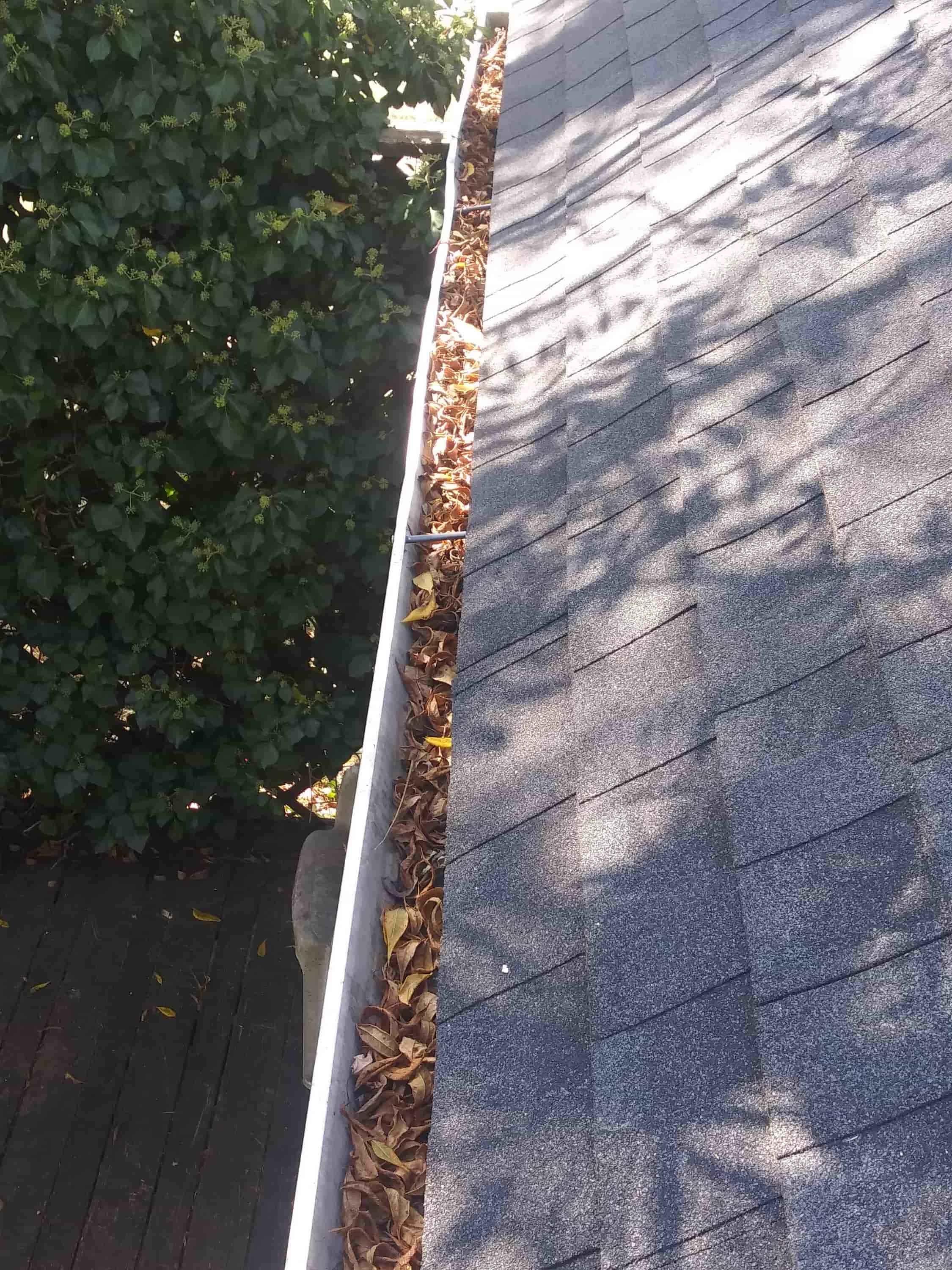 clean gutters without a ladder