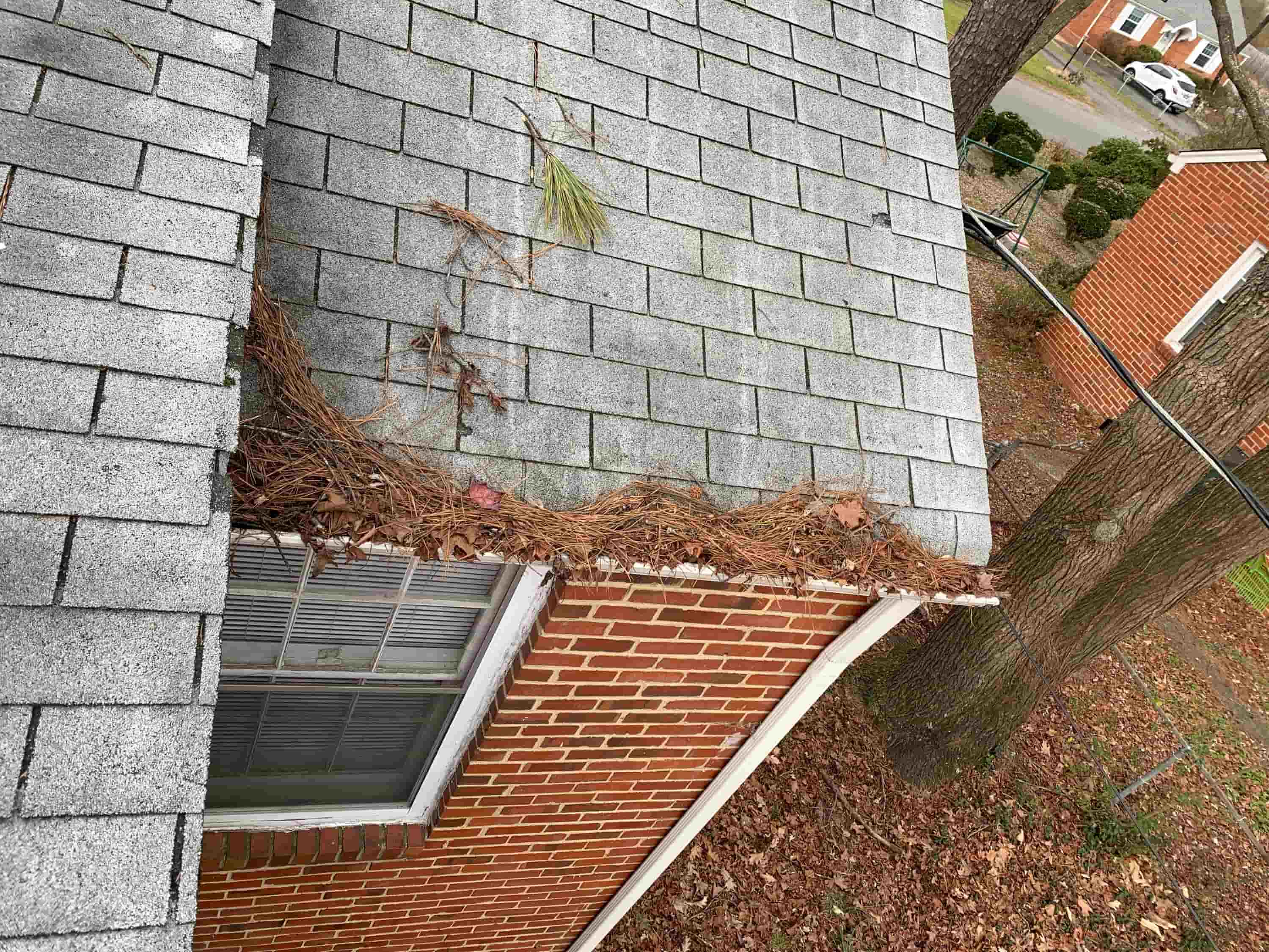 gutter cleaning usa