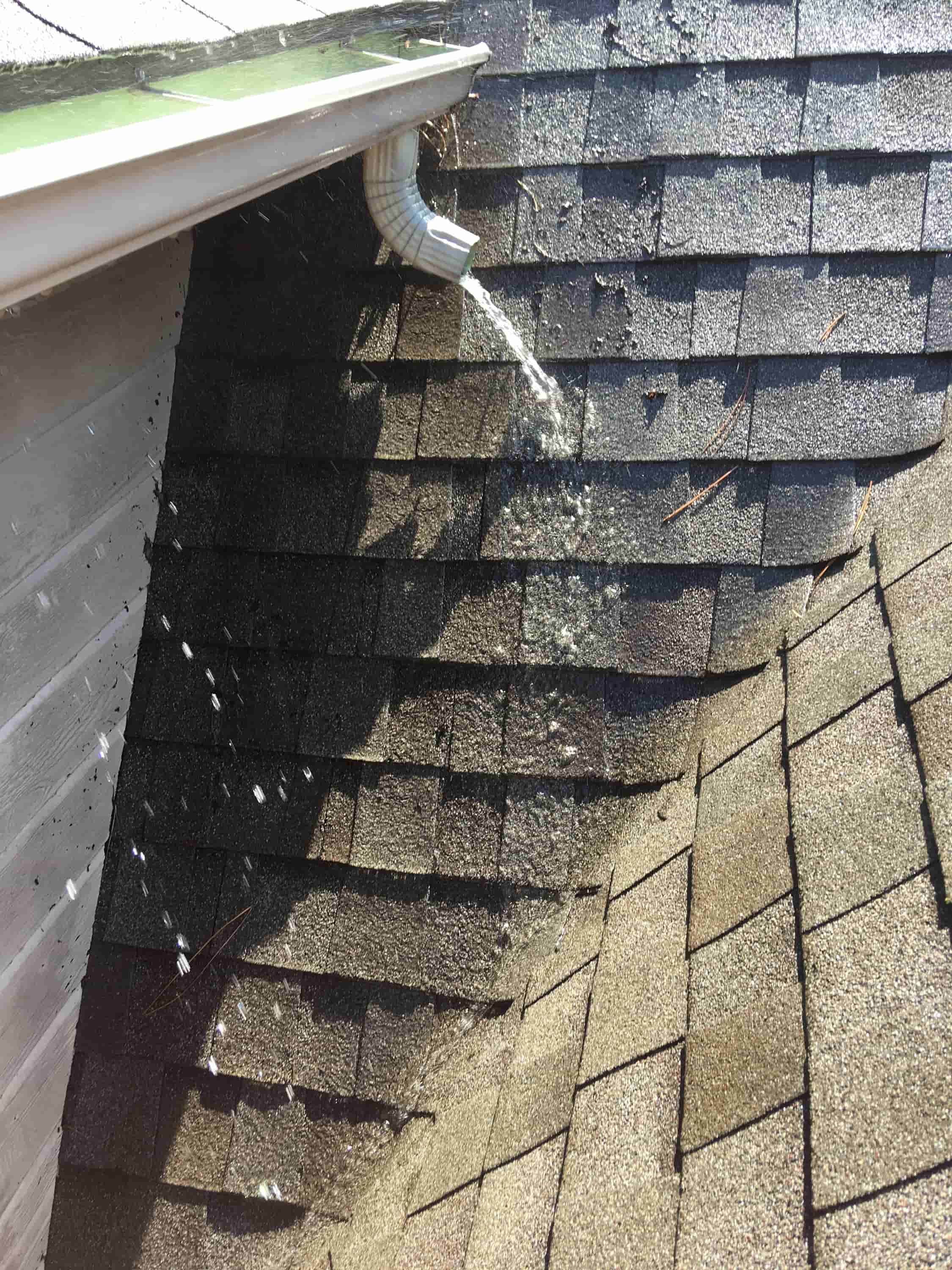 gutter cleaning ladder