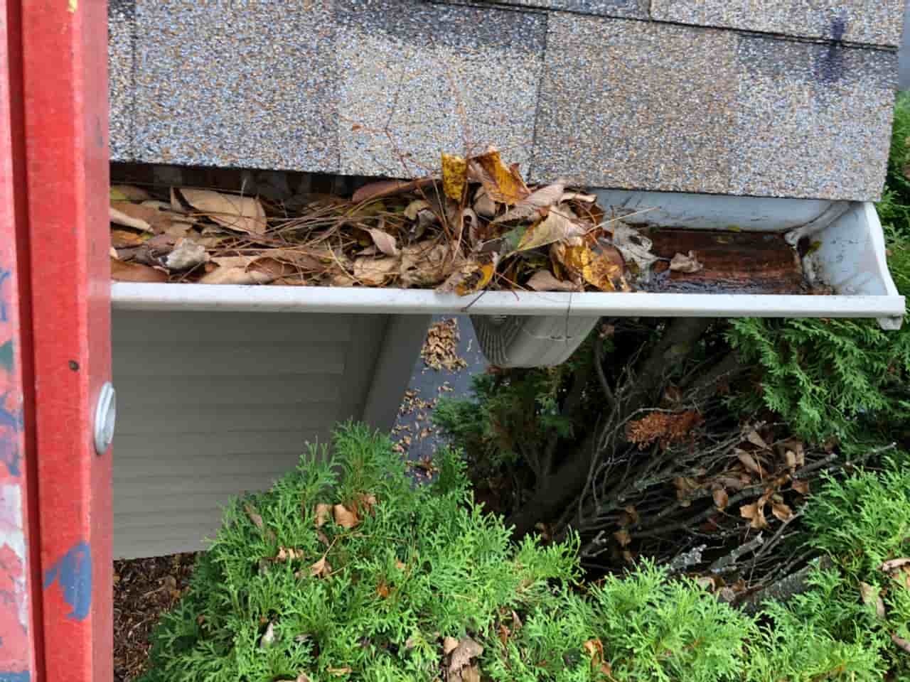 cleaning out gutters tips