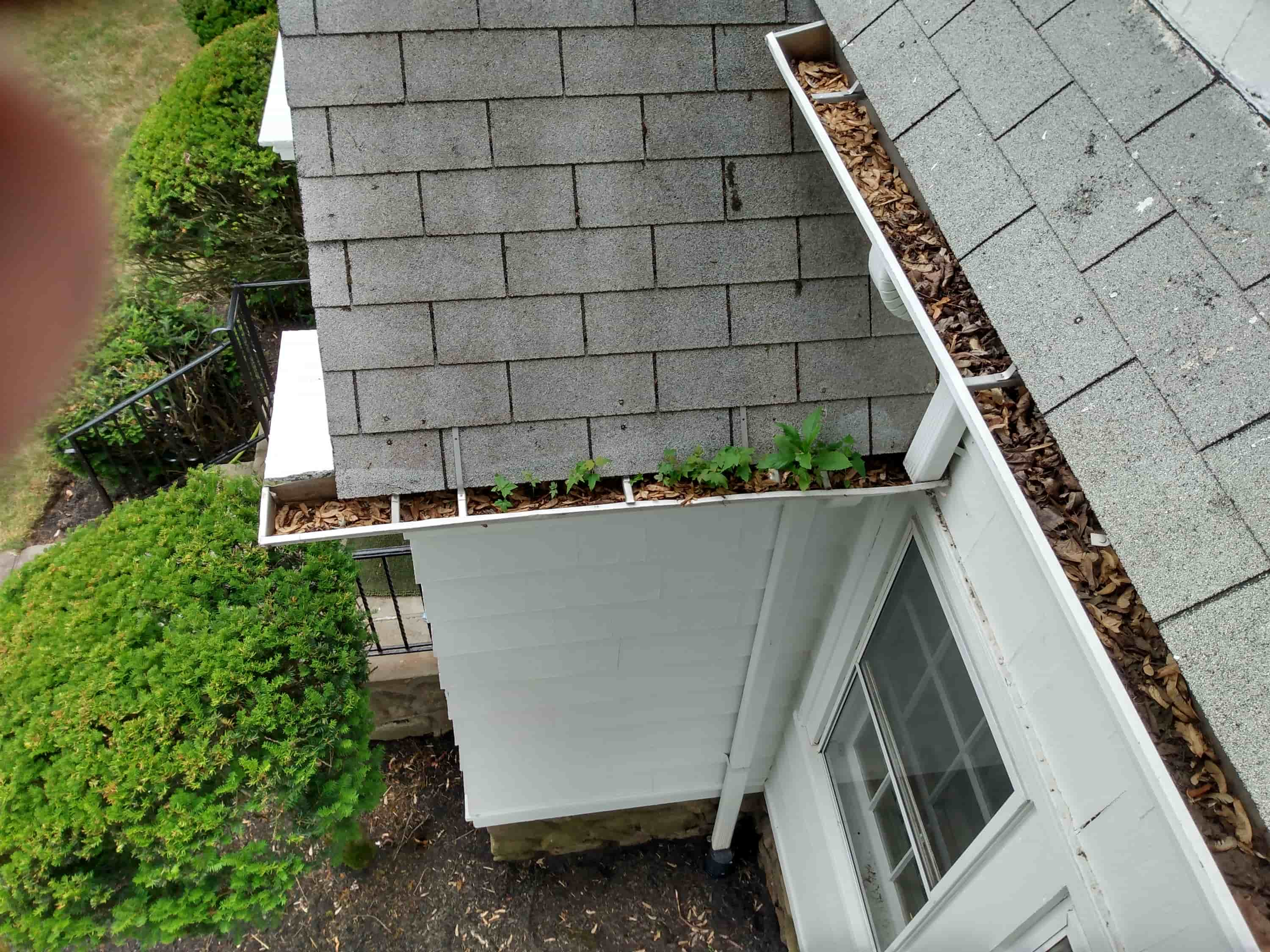 easiest way to clean gutters