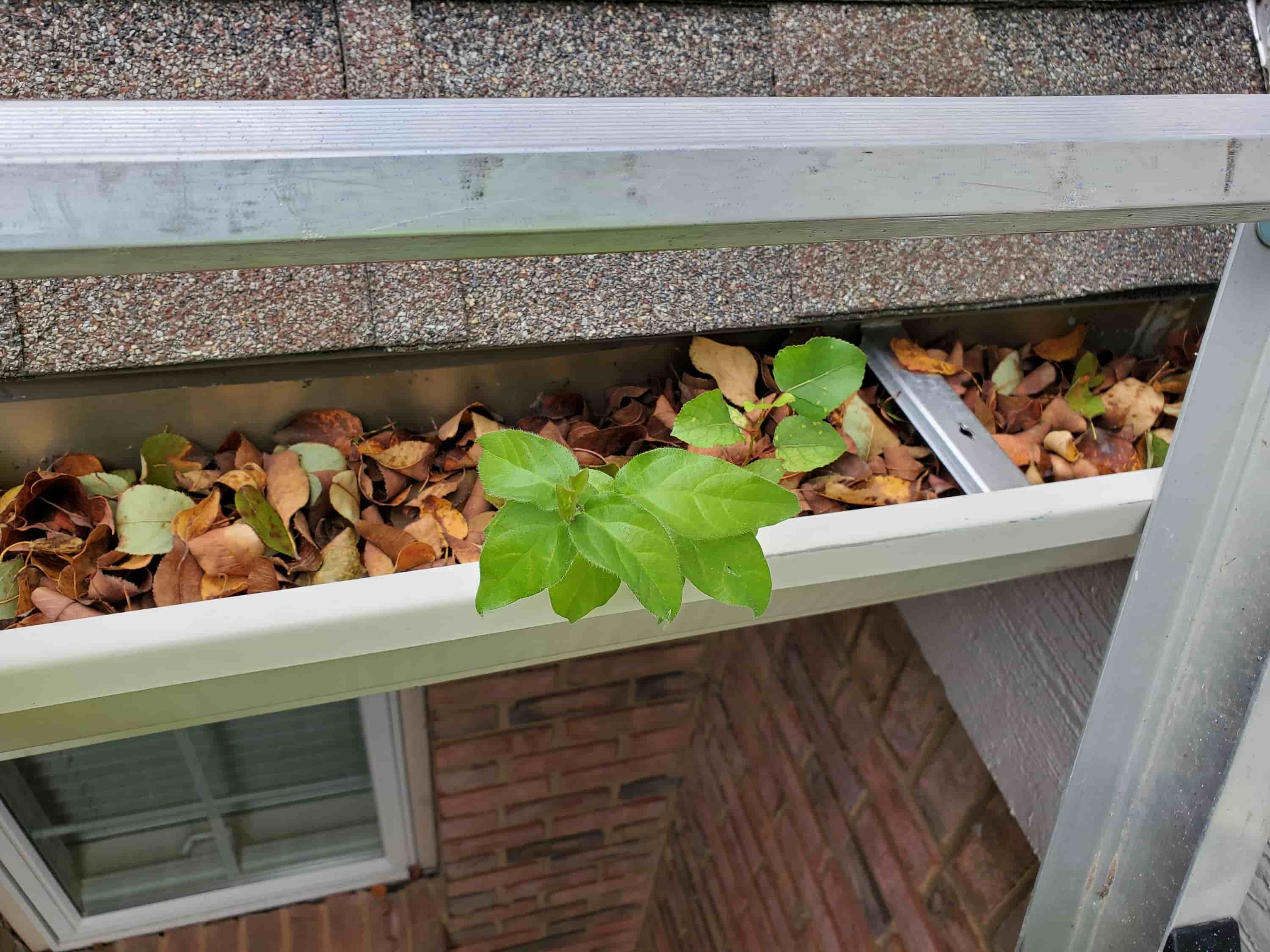 how to clean unreachable gutters
