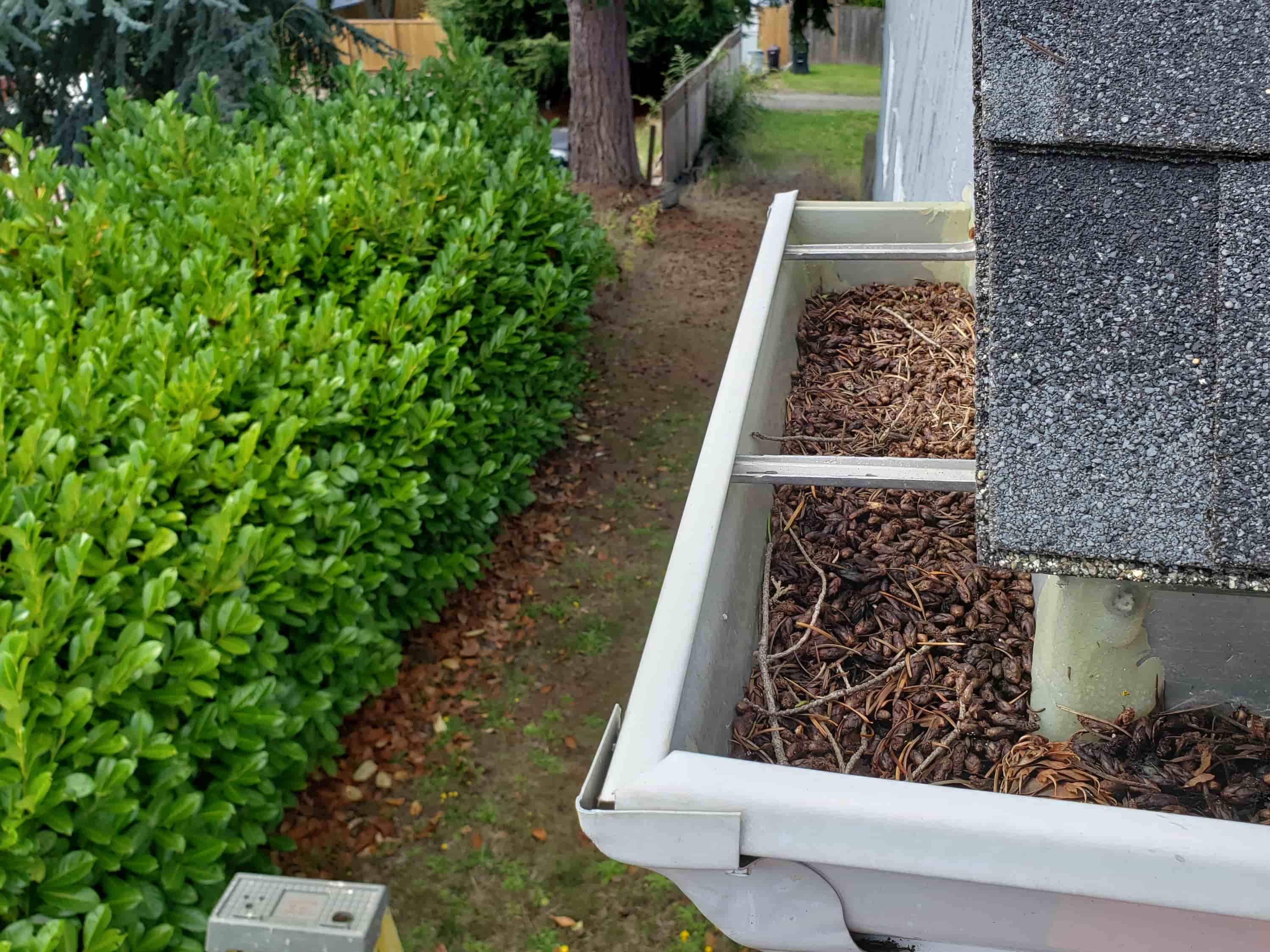 cost of gutter cleaning raleigh nc