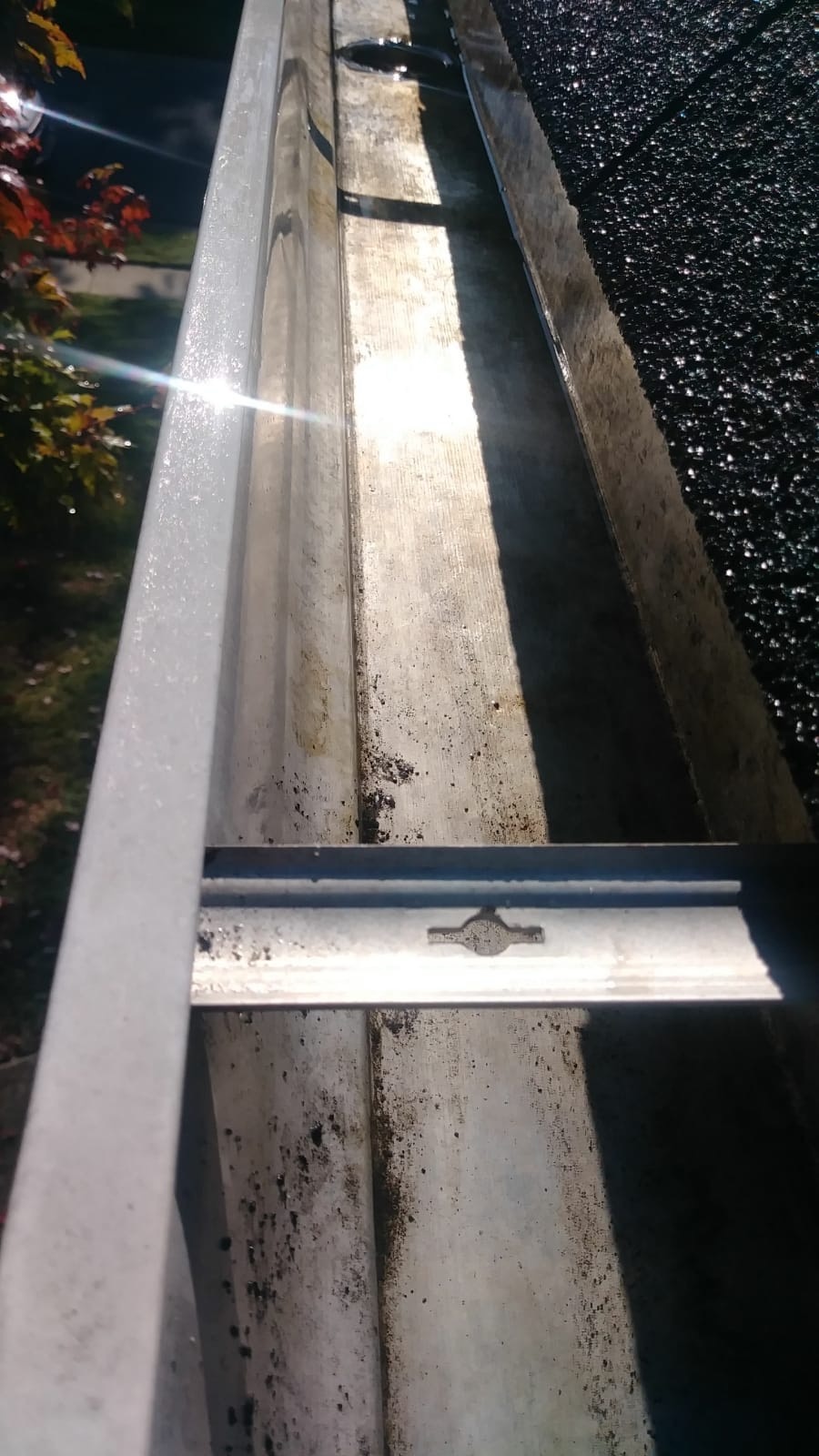 gutter clean up