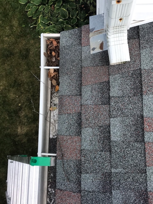 gutter clean out cost