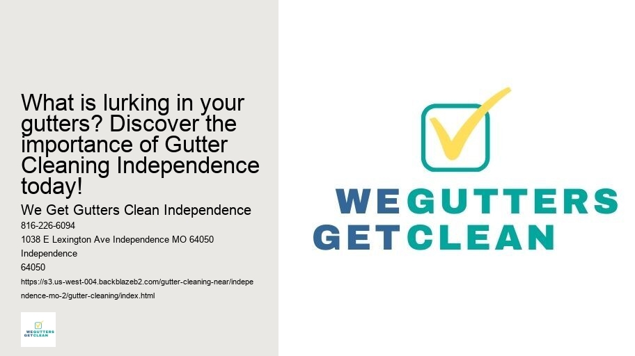 What is lurking in your gutters? Discover the importance of Gutter Cleaning Independence today!